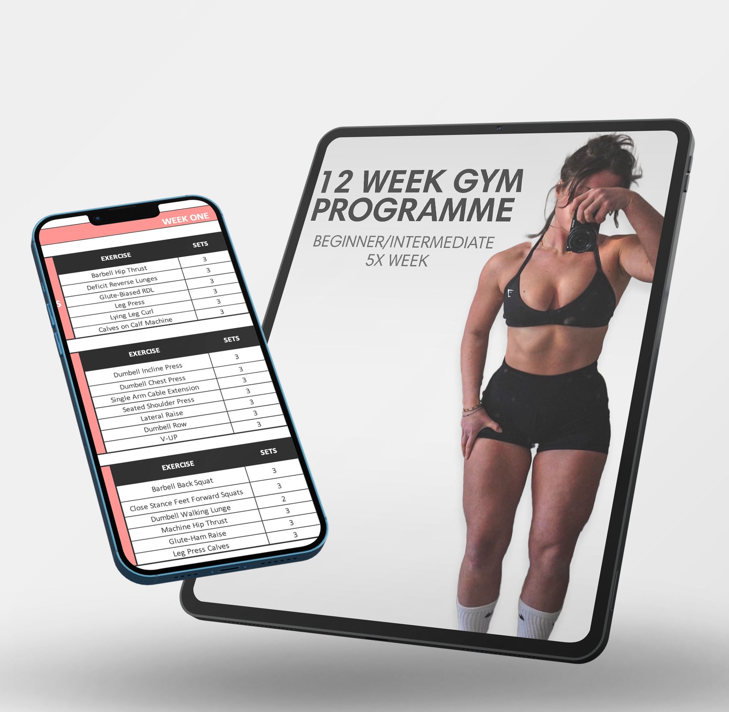 12 Week Gym Program - Excel Sheet