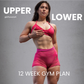 Upper/Lower Body 12 Week Workout Plan